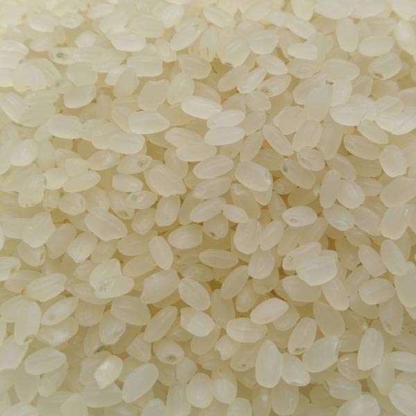  Aromatic Rice Manufacturers in Aizawl