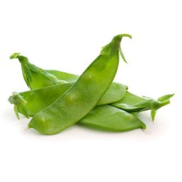  Broad Beans Manufacturers Manufacturers in Alwar