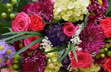  Flowers Manufacturers in Alappuzha