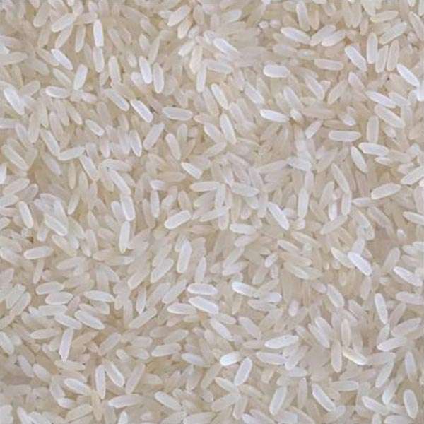  Katarni Rice Manufacturers in Dhamtari
