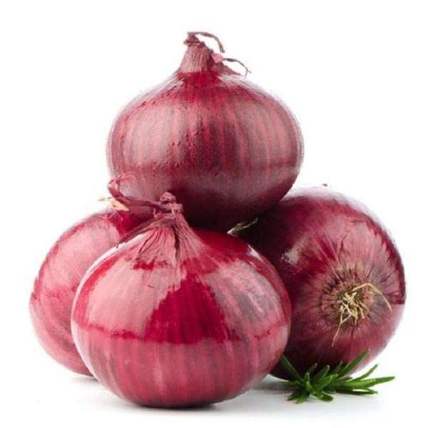  Onion Manufacturers in Afghanistan