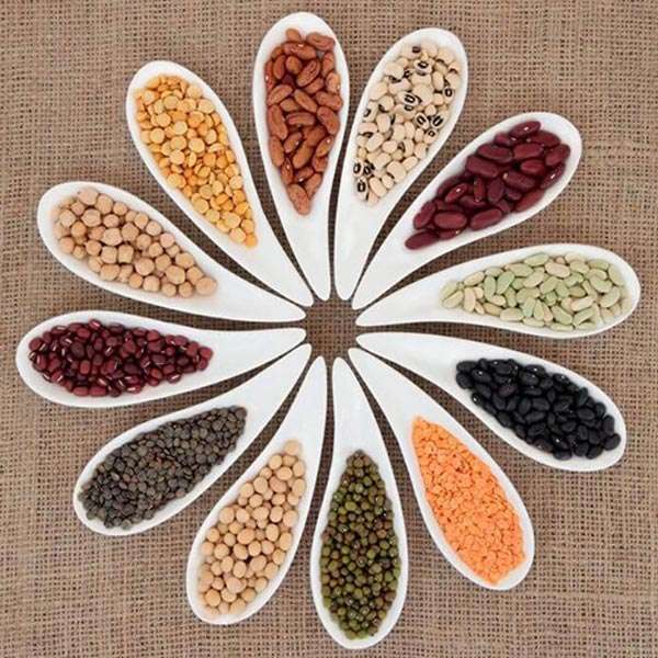  Organic Pulses Manufacturers in Alappuzha