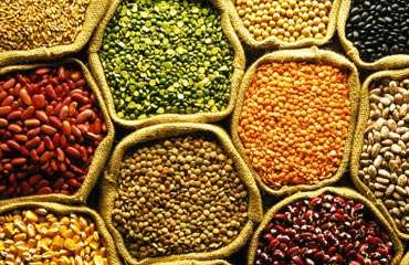  Pulses Manufacturers in Afghanistan
