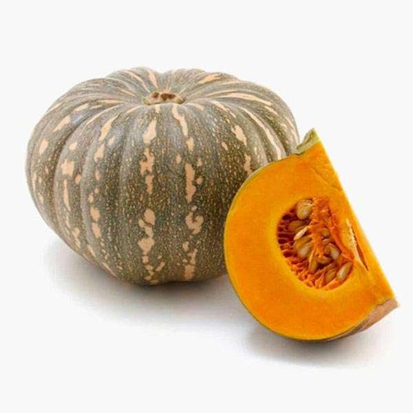  Pumpkin Manufacturers in Banaskantha