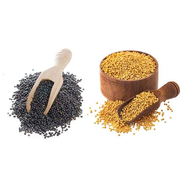  Rapeseed and Mustard Manufacturers in Alappuzha