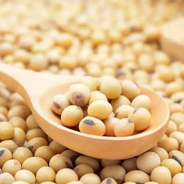  Soyabean Manufacturers in Alappuzha