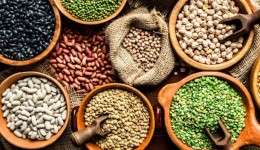 Why are Organic Pulses preferred?