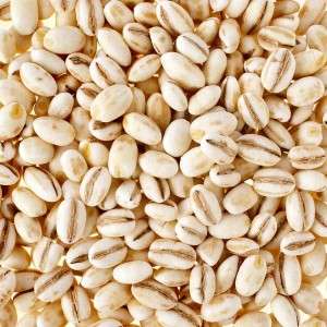  Barley Manufacturers in Andhra Pradesh