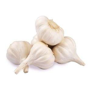  Garlic in Amroha
