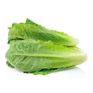  Lettuce Manufacturers in Amroha