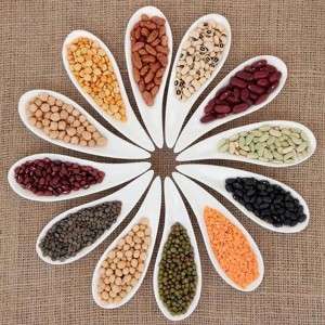  Organic Pulses Manufacturers in Kuwait
