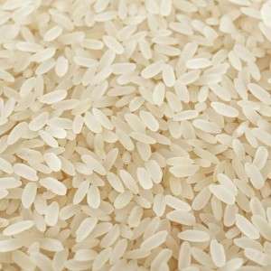 Short Grain Rice in Ranchi