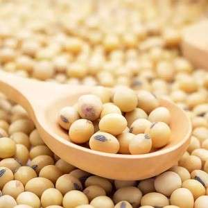  Soyabean Manufacturers in Alipur