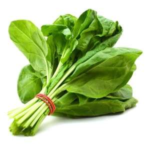 Spinach in Ranchi