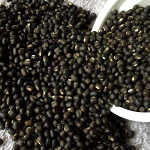  Urad Dal Manufacturers in Lithuania
