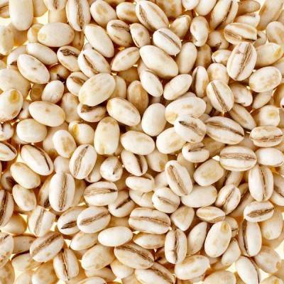  Barley Manufacturers in Adilabad