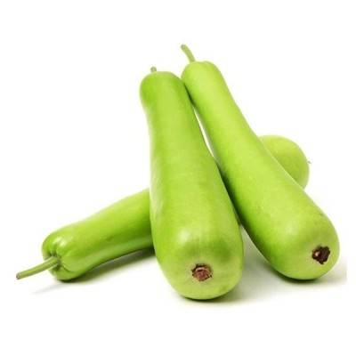  Bottle Gourd Manufacturers in Chhota Udaipur