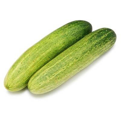 Cucumber Manufacturers in Purnia