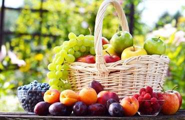 Fruits Manufacturers in Mirzapur