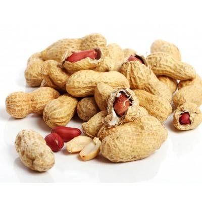  Groundnut Manufacturers in Saint Barthélemy