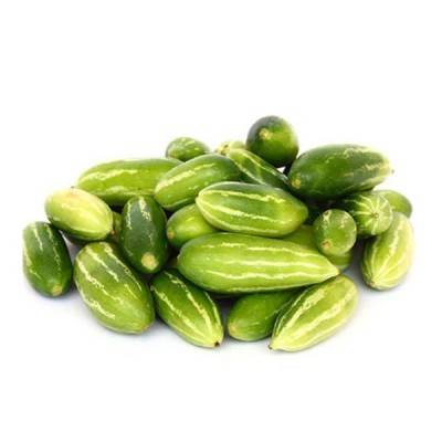  Ivy Gourd Manufacturers in Baloda Bazar