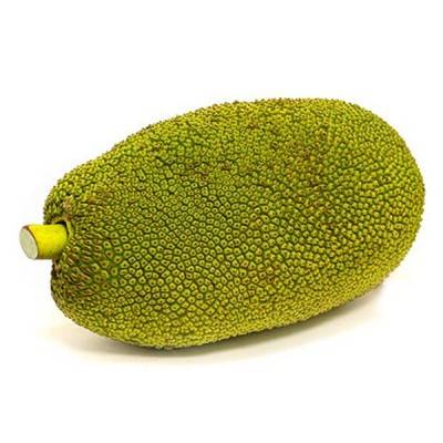 Jackfruit Manufacturers in Saint Barthélemy