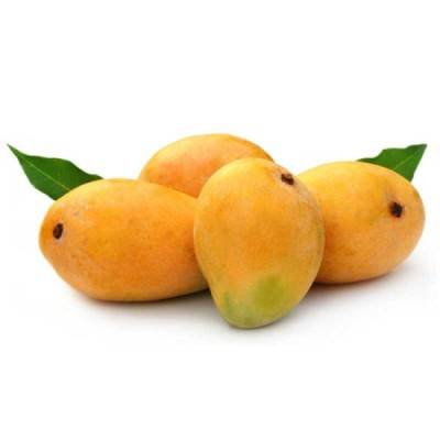  Mango Manufacturers in Saint Barthélemy