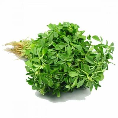  Methi Leaf Manufacturers in Pakistan