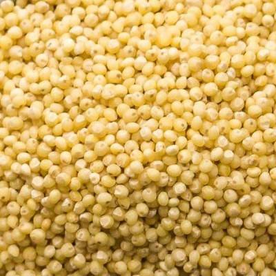  Millet Manufacturers in Ashoknagar
