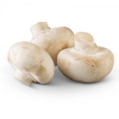  Mushroom Manufacturers in Baramulla