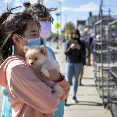  Pet Adoption Services Manufacturers in Yemen