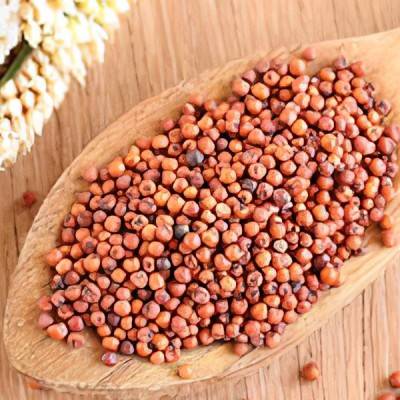  Ragi Manufacturers in Chatra