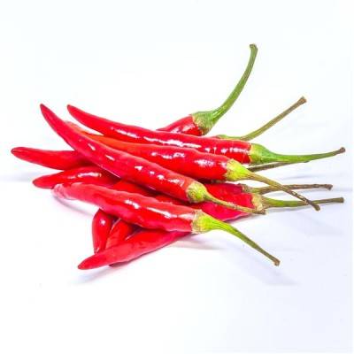  Red Chilli Manufacturers in Azamgarh
