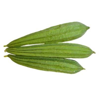  Ridge Gourd Manufacturers in Pakistan