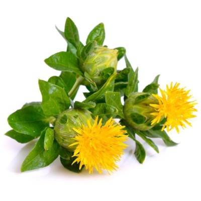  Safflower Manufacturers in Baramulla