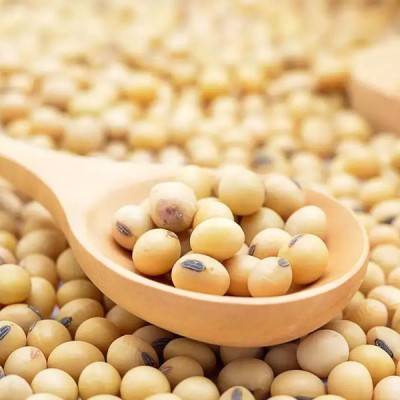  Soyabean Manufacturers in Aligarh