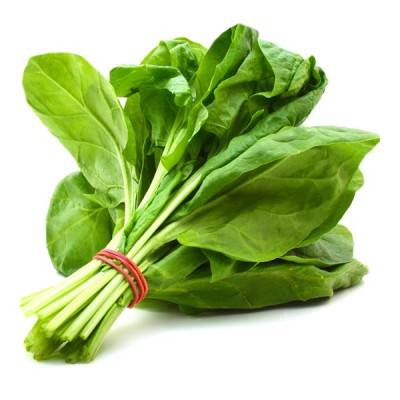  Spinach Manufacturers in Kyrgyzstan