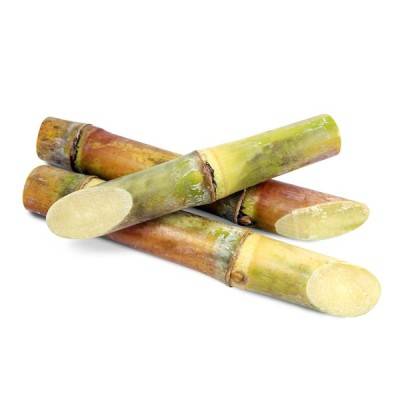  Sugarcane Manufacturers in Saint Barthélemy
