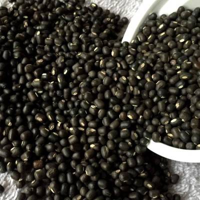  Urad Dal Manufacturers in Baramulla