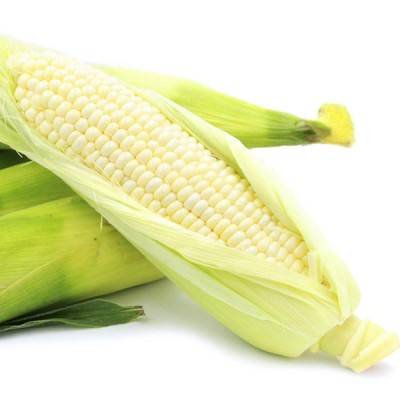  White Maize Manufacturers in Saint Barthélemy