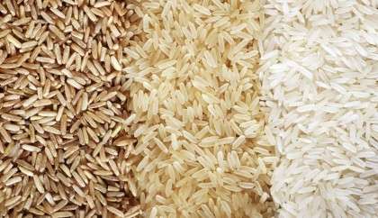 Different Types Of Rice in India